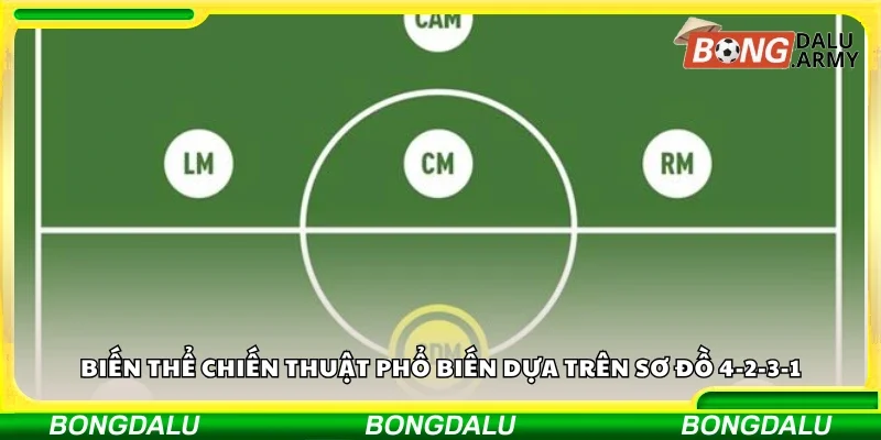 Các biến thể chiến thuật phổ biến dựa trên sơ đồ 4-2-3-1