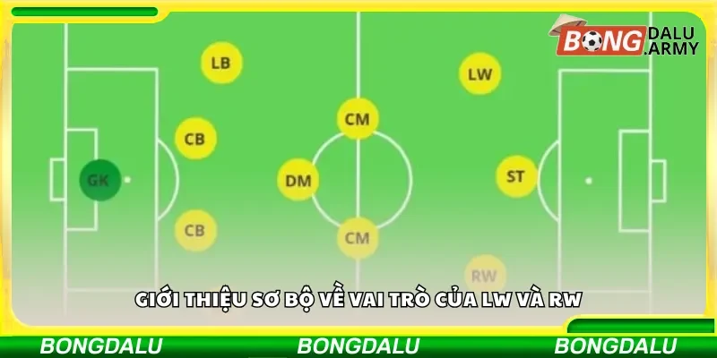 Giới thiệu sơ bộ về vai trò của LW và RW