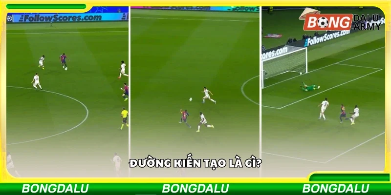 Khái quát về đường kiến tạo