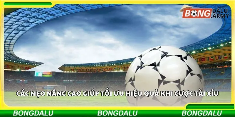 Các mẹo nâng cao giúp tối ưu hiệu quả khi cược tài xỉu