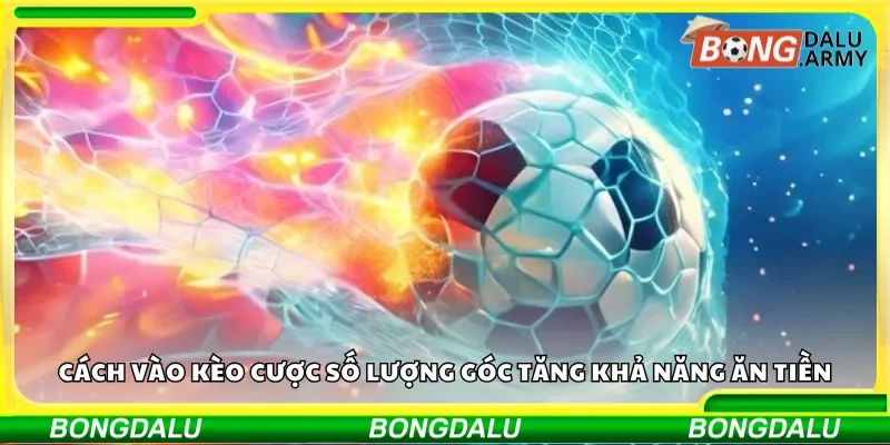 Cách vào kèo cược số lượng góc tăng khả năng ăn tiền