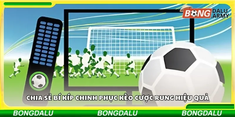 Chia sẻ bí kíp chinh phục kèo cược rung hiệu quả