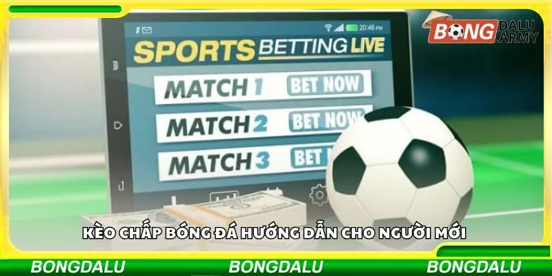 Kèo chấp bóng đá hướng dẫn cho người mới