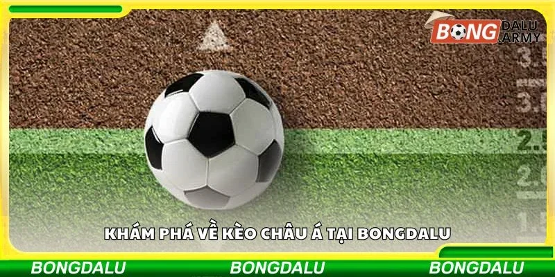 Khám phá về kèo châu á tại Bongdalu