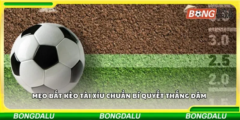 Mẹo bắt kèo tài xỉu chuẩn bí quyết thắng đậm