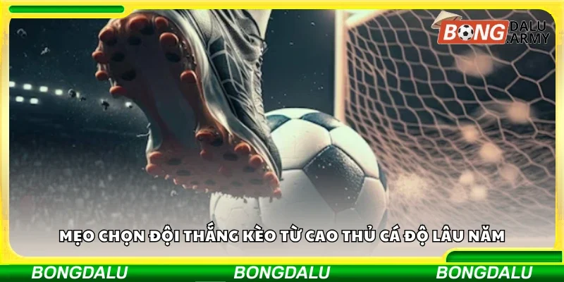 Mẹo chọn đội thắng kèo từ cao thủ cá độ lâu năm