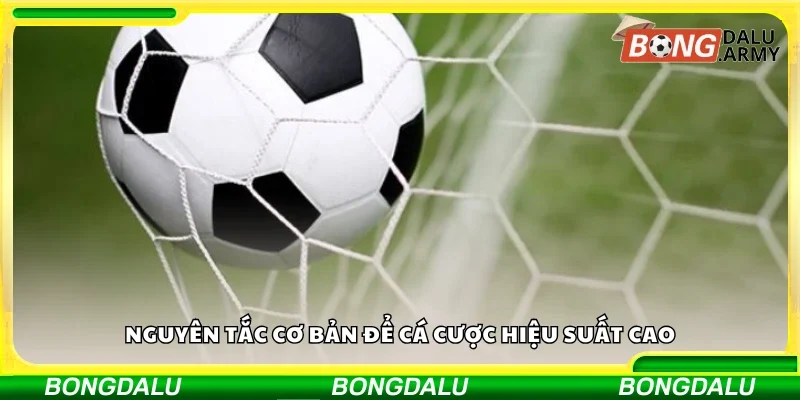 Nguyên tắc cơ bản để cá cược hiệu suất cao