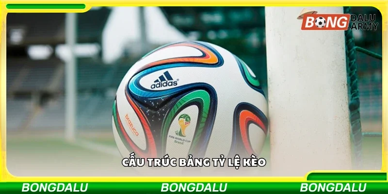 Tìm hiểu cấu trúc bảng tỷ lệ kèo