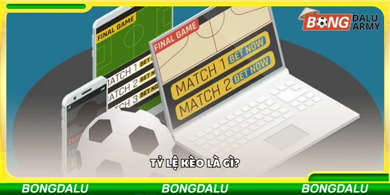 Tìm hiểu về tỷ lệ kèo