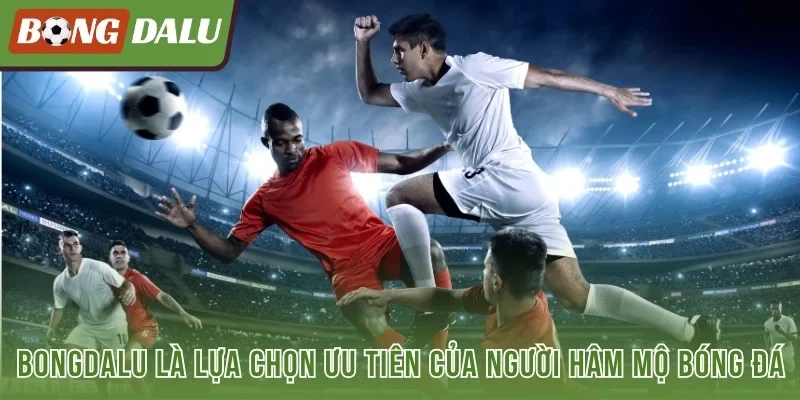 Bongdalu là lựa chọn ưu tiên của người hâm mộ bóng đá
